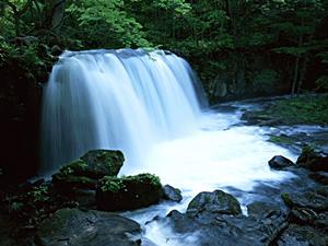 京都のビジネスホテルの決定版！東横INN京都四条大宮の魅力と特徴を徹底解説