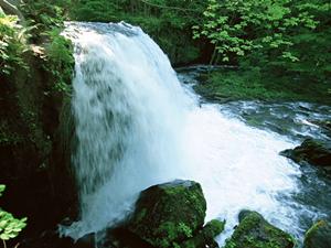 神奈川県平塚市にある東横イン湘南平塚駅北口2｜快適なビジネスホテルと便利なアクセス