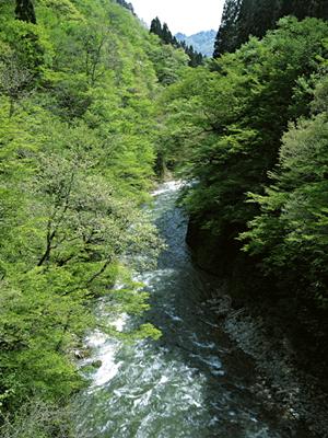 【東横INN蔚山三山洞】アクセス便利なビジネスホテルの魅力と詳細情報
