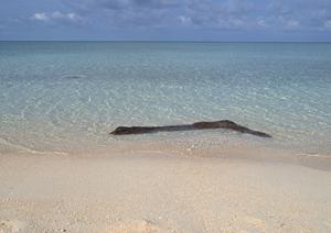沖縄・那覇市のビジネスホテル【東横INN那覇旭橋駅前】の魅力と詳細情報