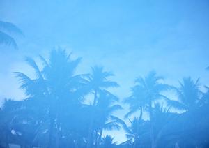 日本語ガイドが付くブータン観光