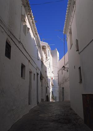 【公式情報を基に】東横INN羽島駅新幹線南口の魅力と店舗詳細