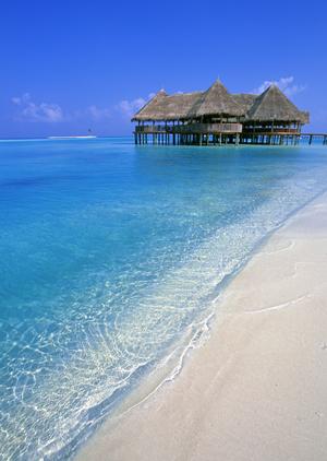 東京都台東区蔵前のビジネスホテル：東横INN浅草蔵前2の魅力と詳細情報