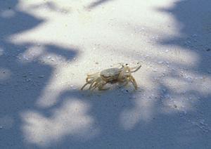 山形県米沢市のビジネスホテル【東横INN米沢駅前】の魅力と詳細情報