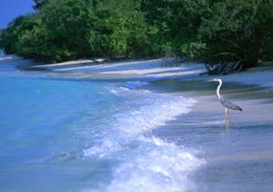 茨城県土浦市にある東横INN土浦駅東口：便利な立地と快適な宿泊体験を提供