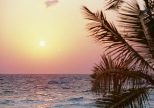 奈良・王寺駅から徒歩5分の快適ビジネスホテル【東横INN奈良王寺駅南口】の魅力と詳細情報