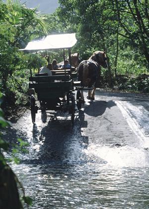 豊橋駅から徒歩3分！快適な滞在を実現する東横INN豊橋駅東口の魅力と詳細情報