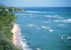 東横INN熊本桜町バスターミナル前｜快適な宿泊体験を提供するビジネスホテルの魅力と詳細情報