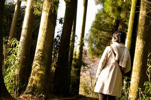 熊本市中心部に位置する快適なビジネスホテル「東横INN熊本城通町筋」の魅力と詳細紹介